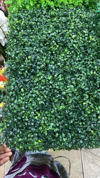 Mur vegetal