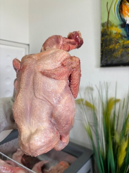 Poulet de chair halal