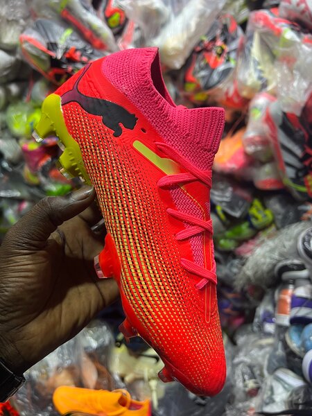 Paire de magre