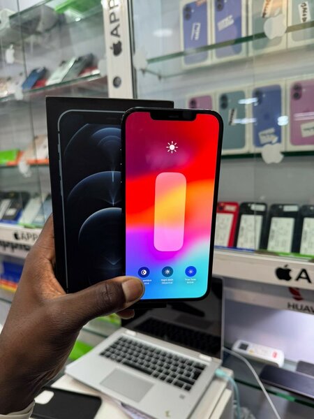 iPhone 12 Pro Max