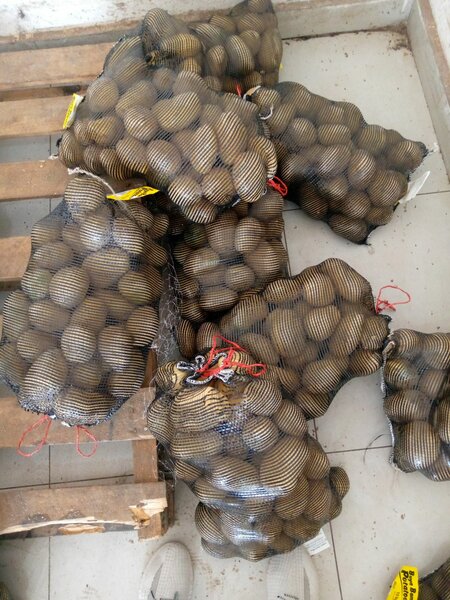 Buya Bamba Potatoes