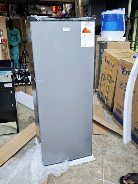 Congélateur Vertical Moderne 200L
