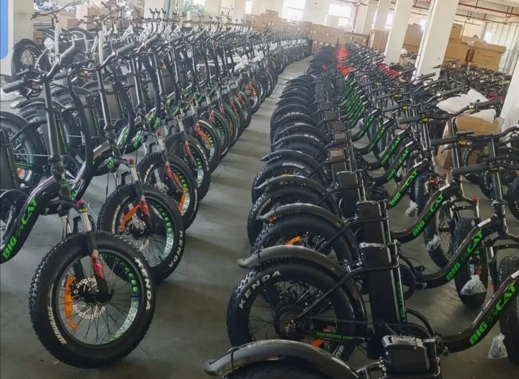 VTT électriques tout-terrain
