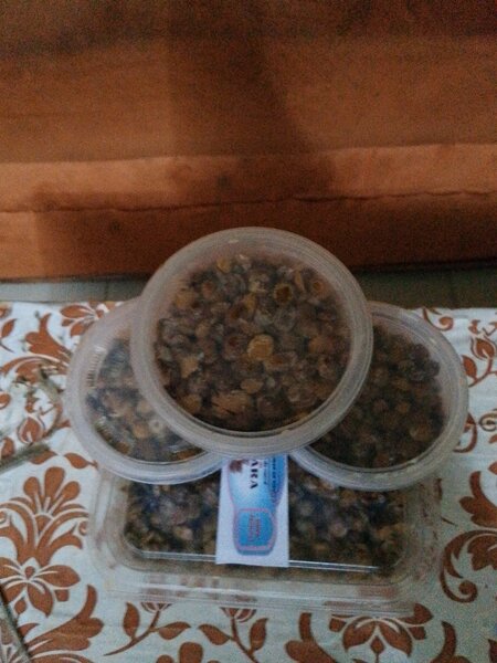 Dried Snail Snacks