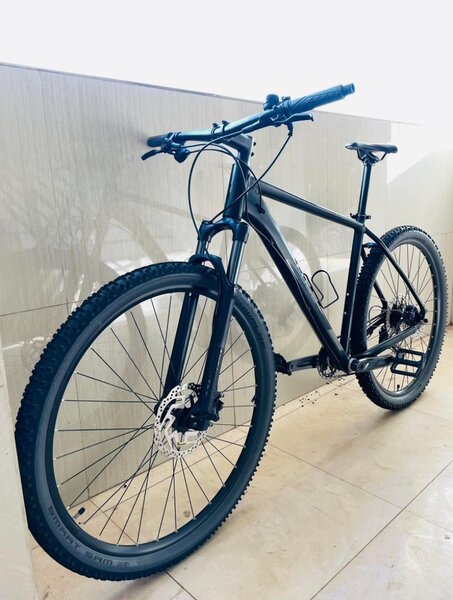Vélo pour adultes