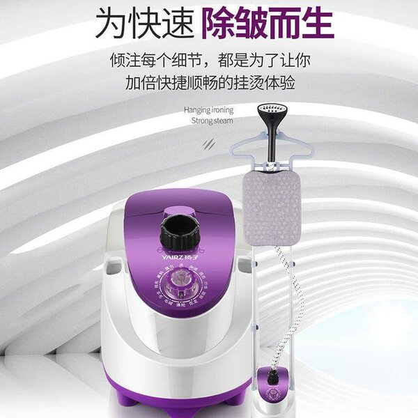 Steam iron