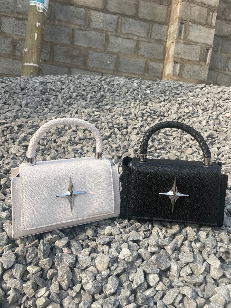 Ladies handbag