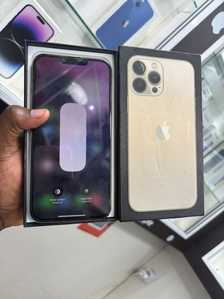 iPhone 13 Pro Max