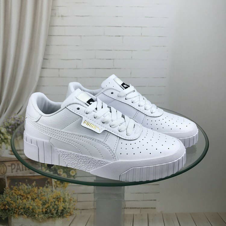 Puma cali