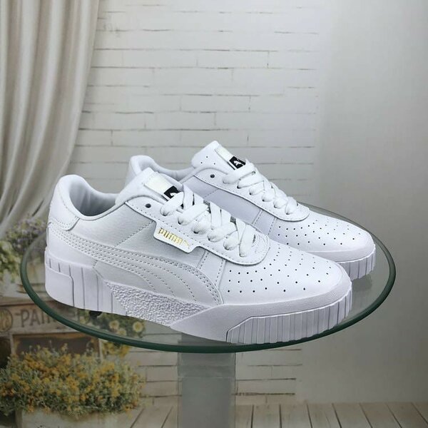 Puma cali