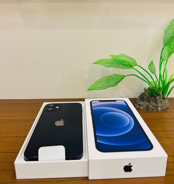 iPhone 12