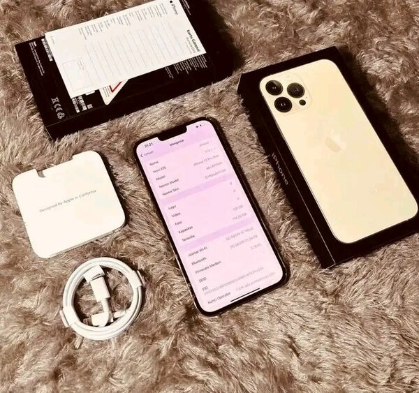 iPhone 13 Pro Max