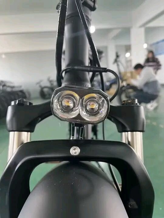 Vélo électrique