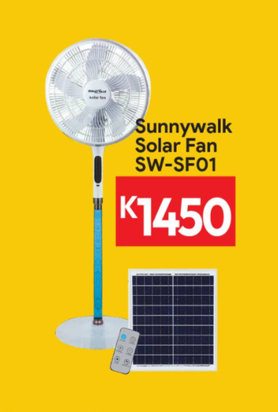 Pedestal Fan