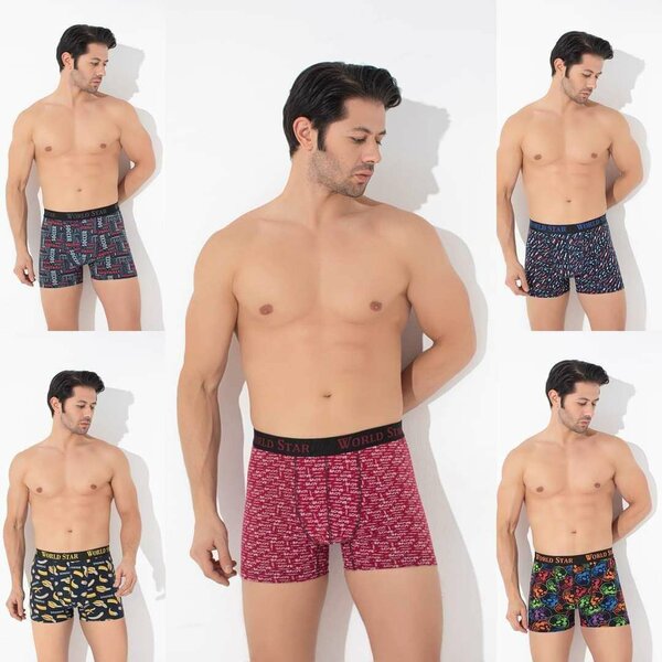 Men briefs a dozen