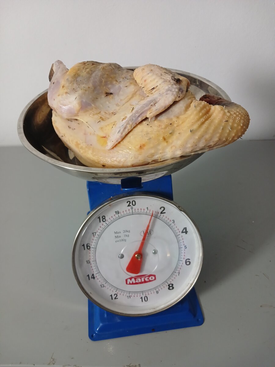 Pintade chaire