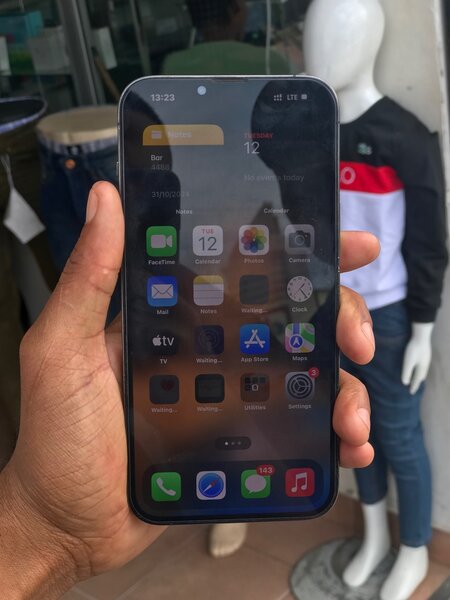 iPhone 13 pro max