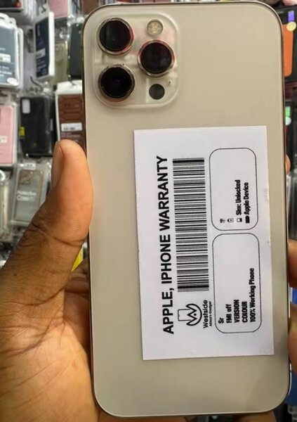 iPhone 12 Pro Max