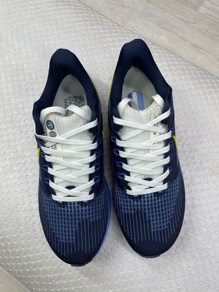 Nike pegasus 39