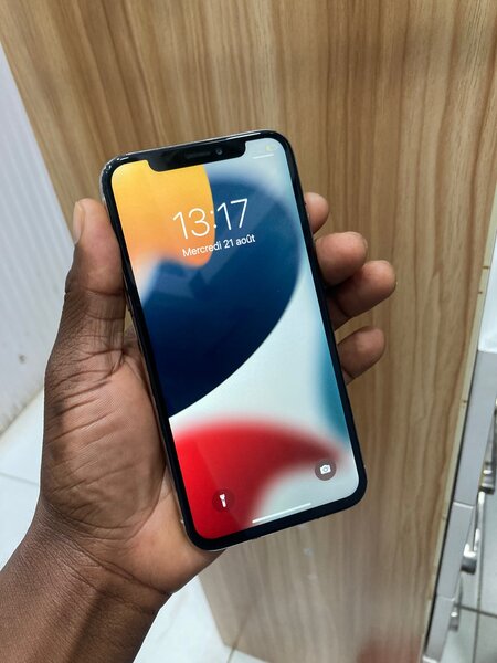 IPHONE X 256GO