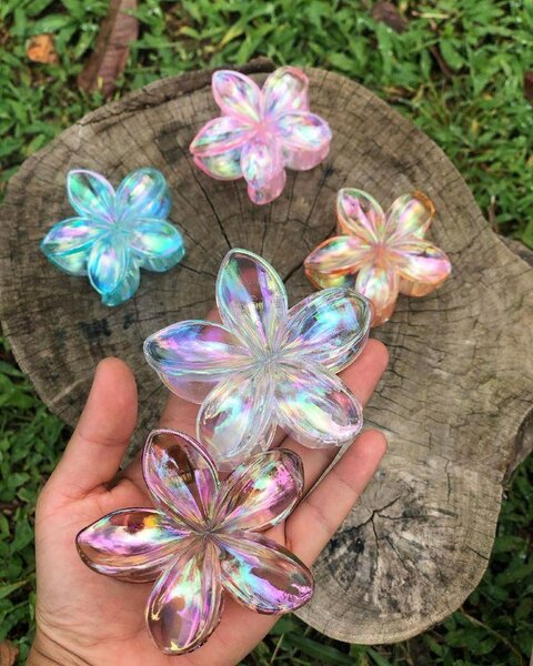 Pinces à cheveux fleurs irisées