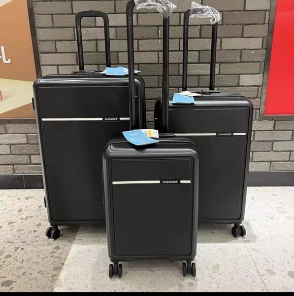 valise