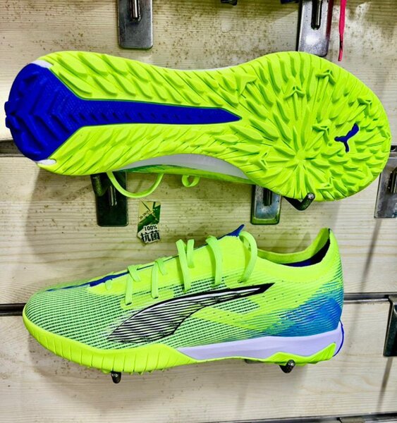Synthétique puma