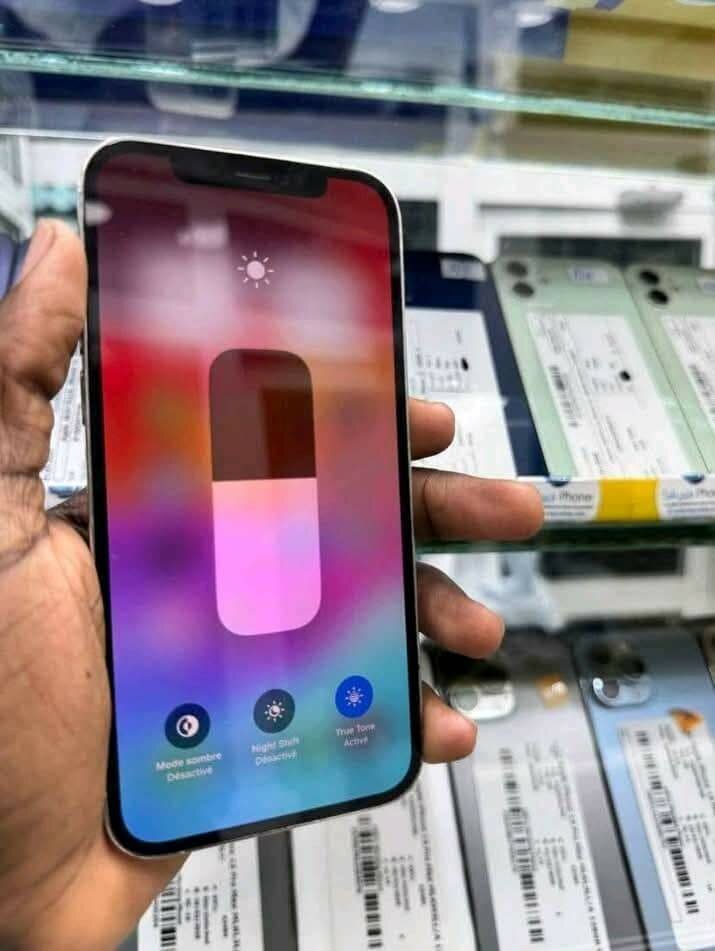 iPhone 12 Pro Max
