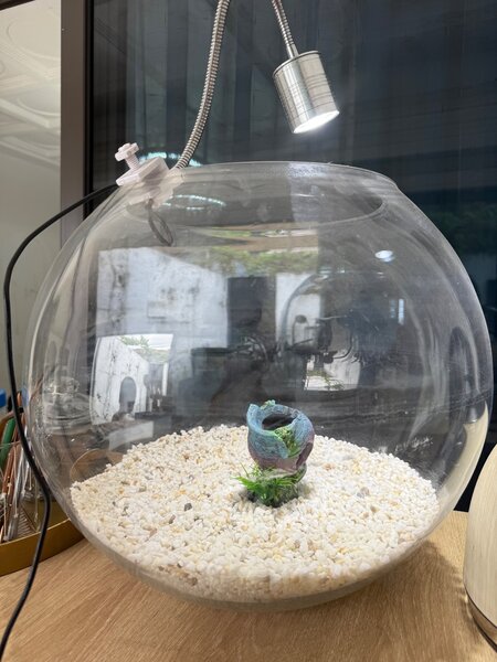 Aquarium