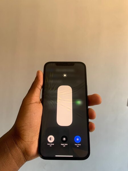 iPhone 12 Pro Max