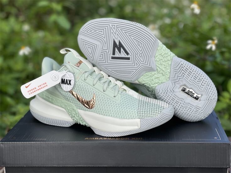 LEBRON JAMES AMBASSADOR 13