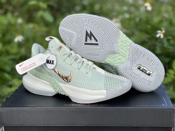 LEBRON JAMES AMBASSADOR 13