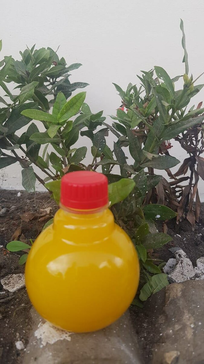 Beure de vache disponible