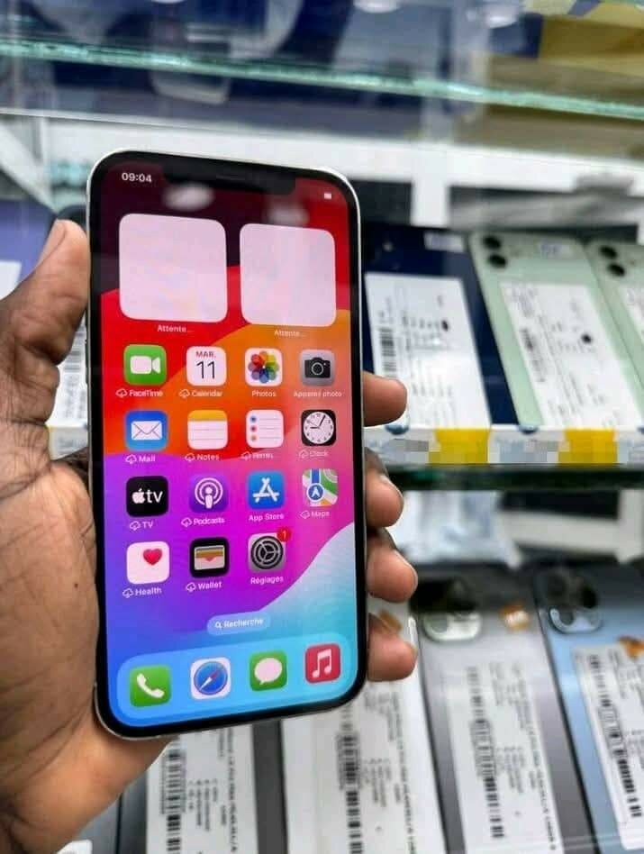 iPhone 12 Pro Max