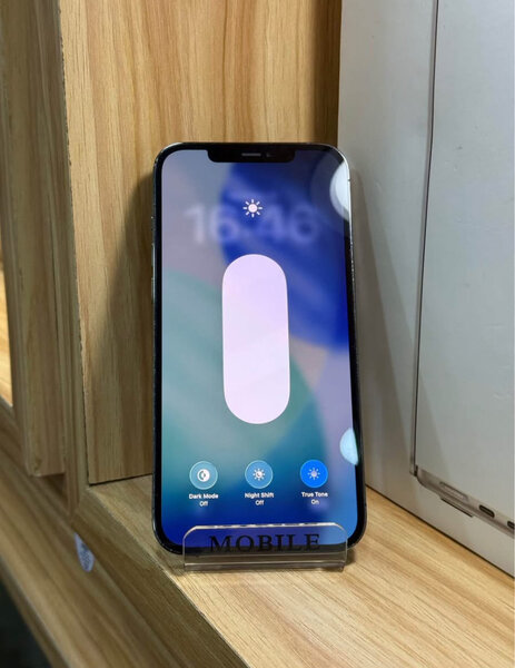 iPhone 13 Pro Max Argent