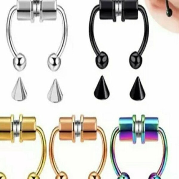 Magnetic nose ring