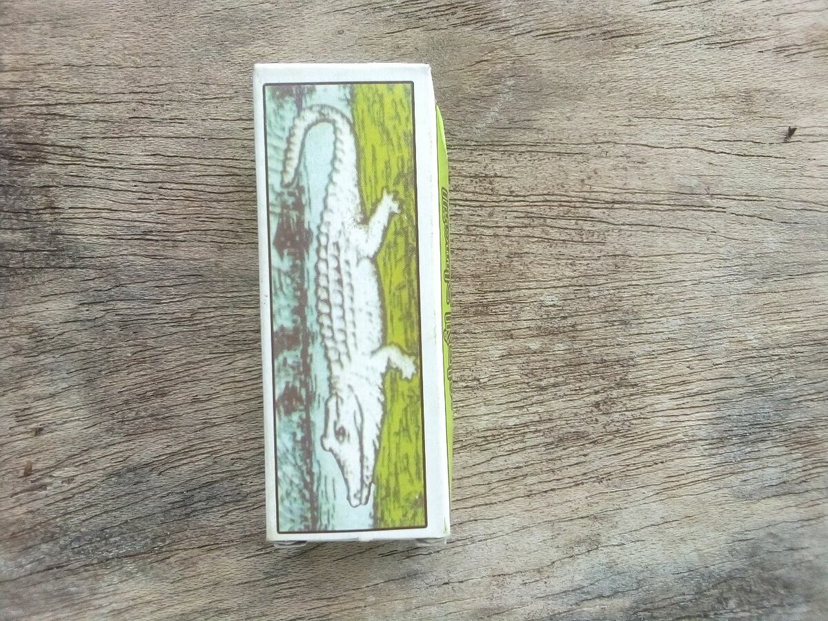 Crocodile bonne garçon