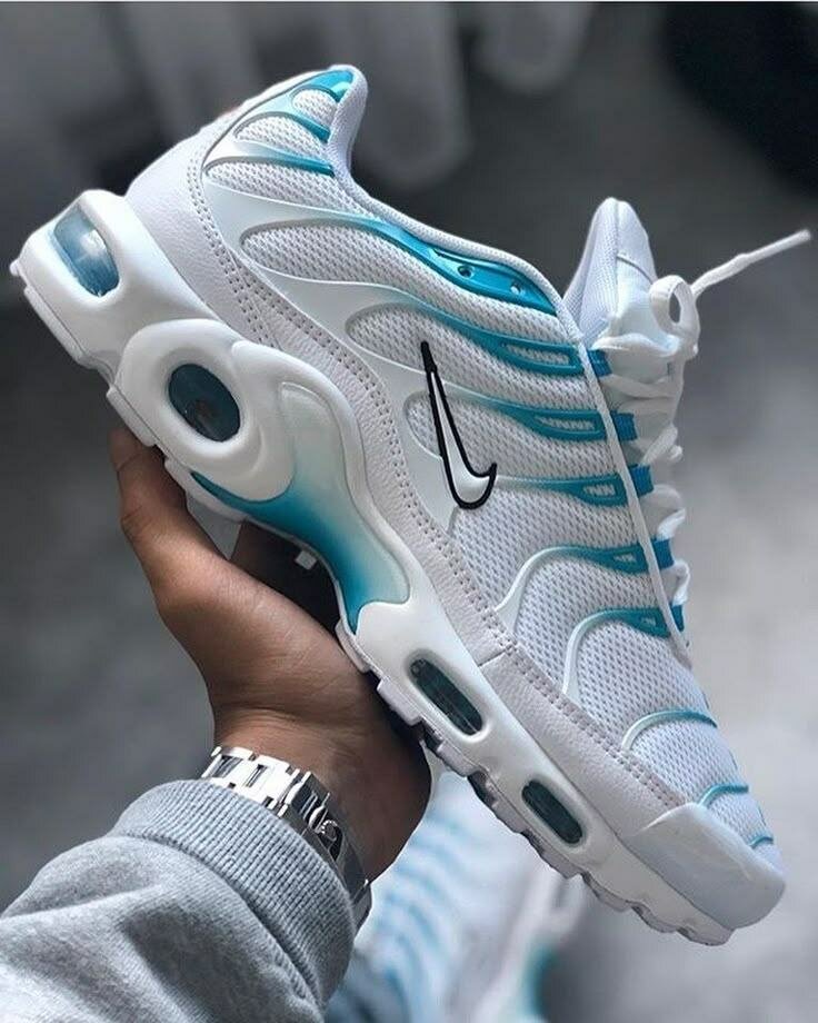 Baskets Air Max pour Hommes