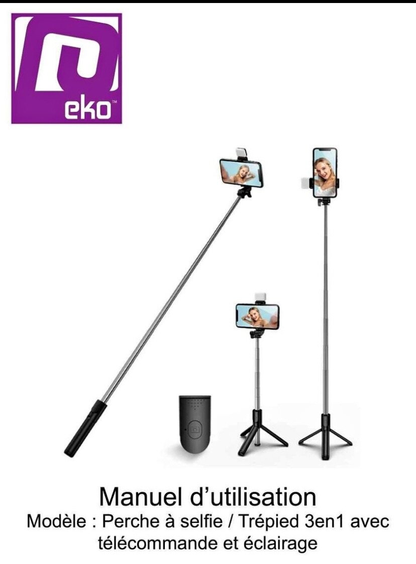 Canne à selfie
