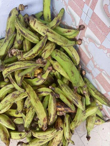 Banane bio