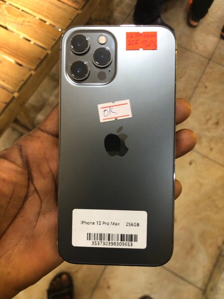 12 pro max 256gb