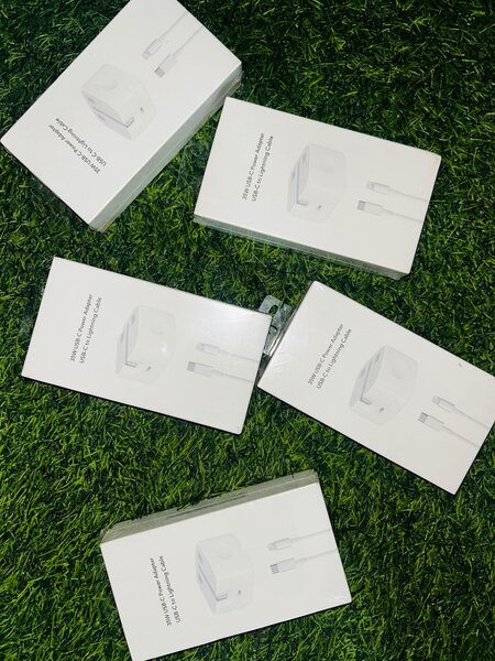 Apple Charger