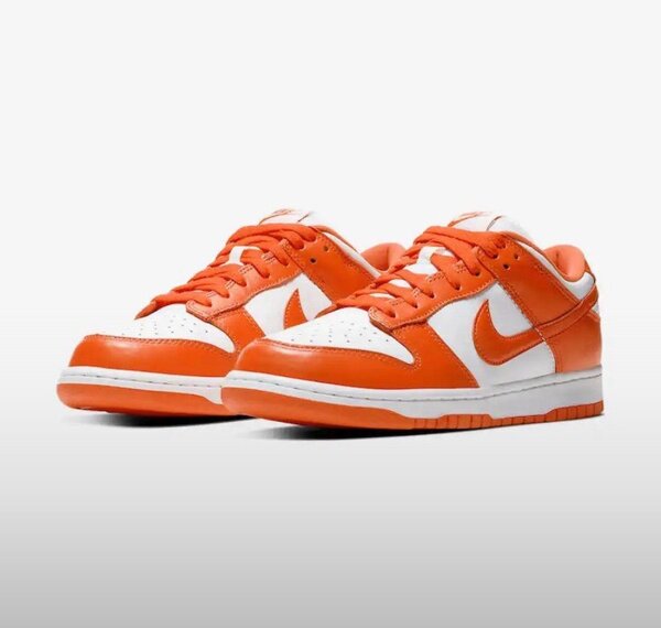 Nike SB sneakers