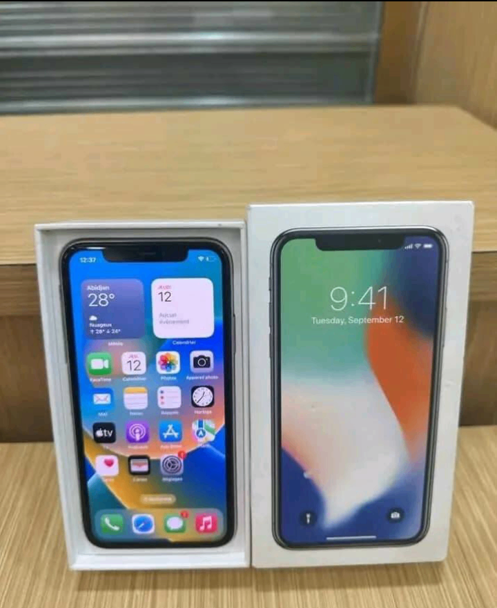 iPhone X 256GB Gris Neuf