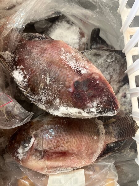 Poisson carpe