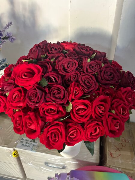 rose flower