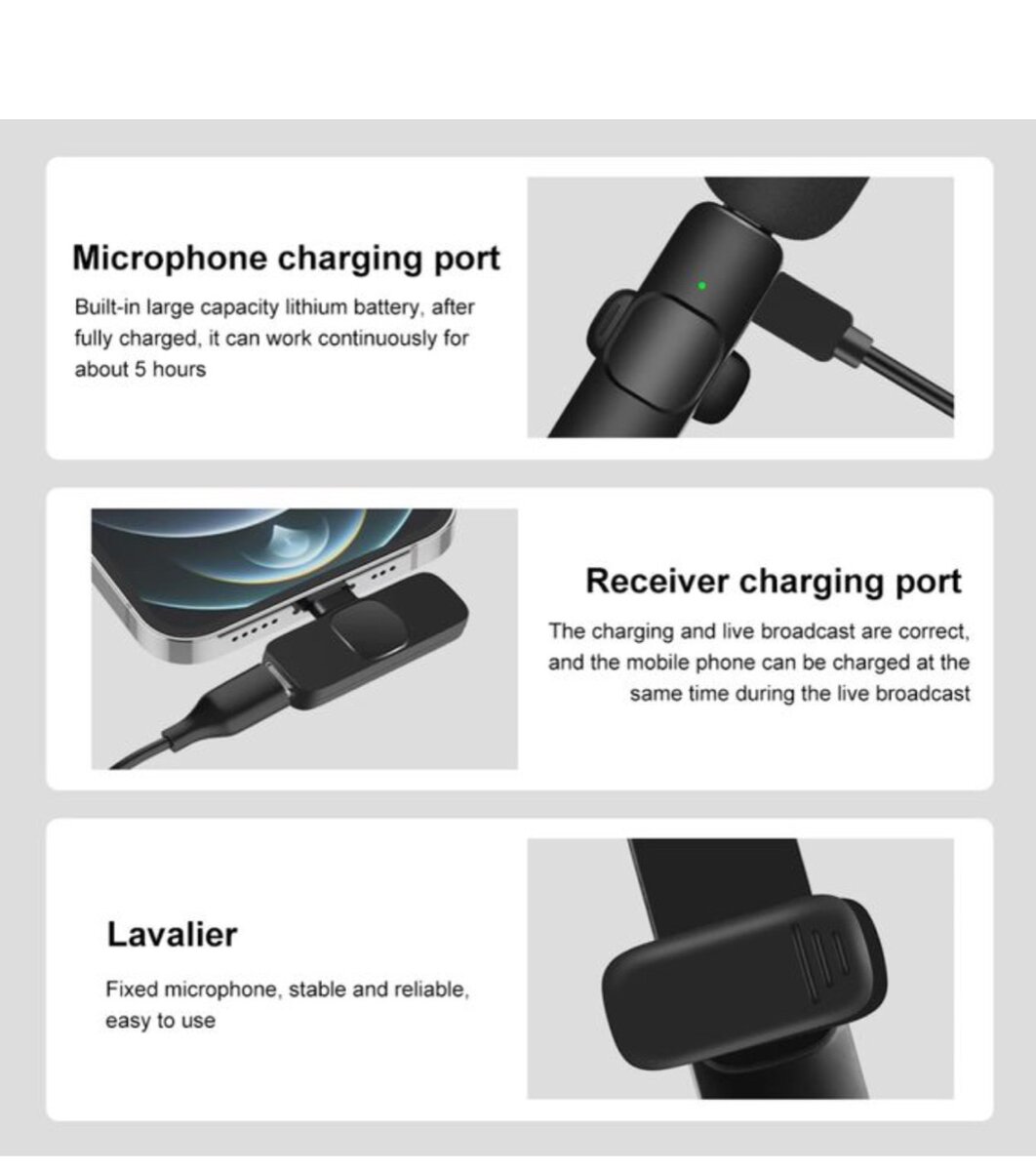 Mini microphone