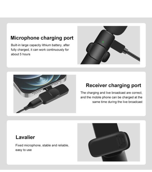 Mini microphone