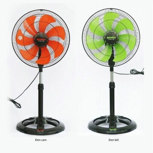 Fans