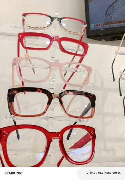 Purse and eyewear
